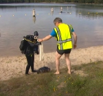 QDiving gaat onder voor World Cleanup Day