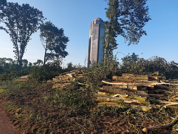 Bomen gekapt oostkant Nionplas. Start herinrichting vergt prachtige habitat!