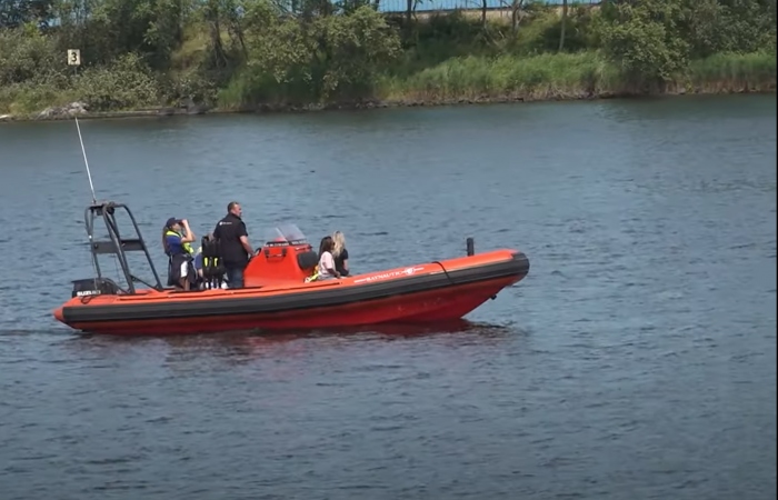 Dolfijn in Noordzeekanaal. Belangstelling vanaf de kant maar ook veel zorgen!